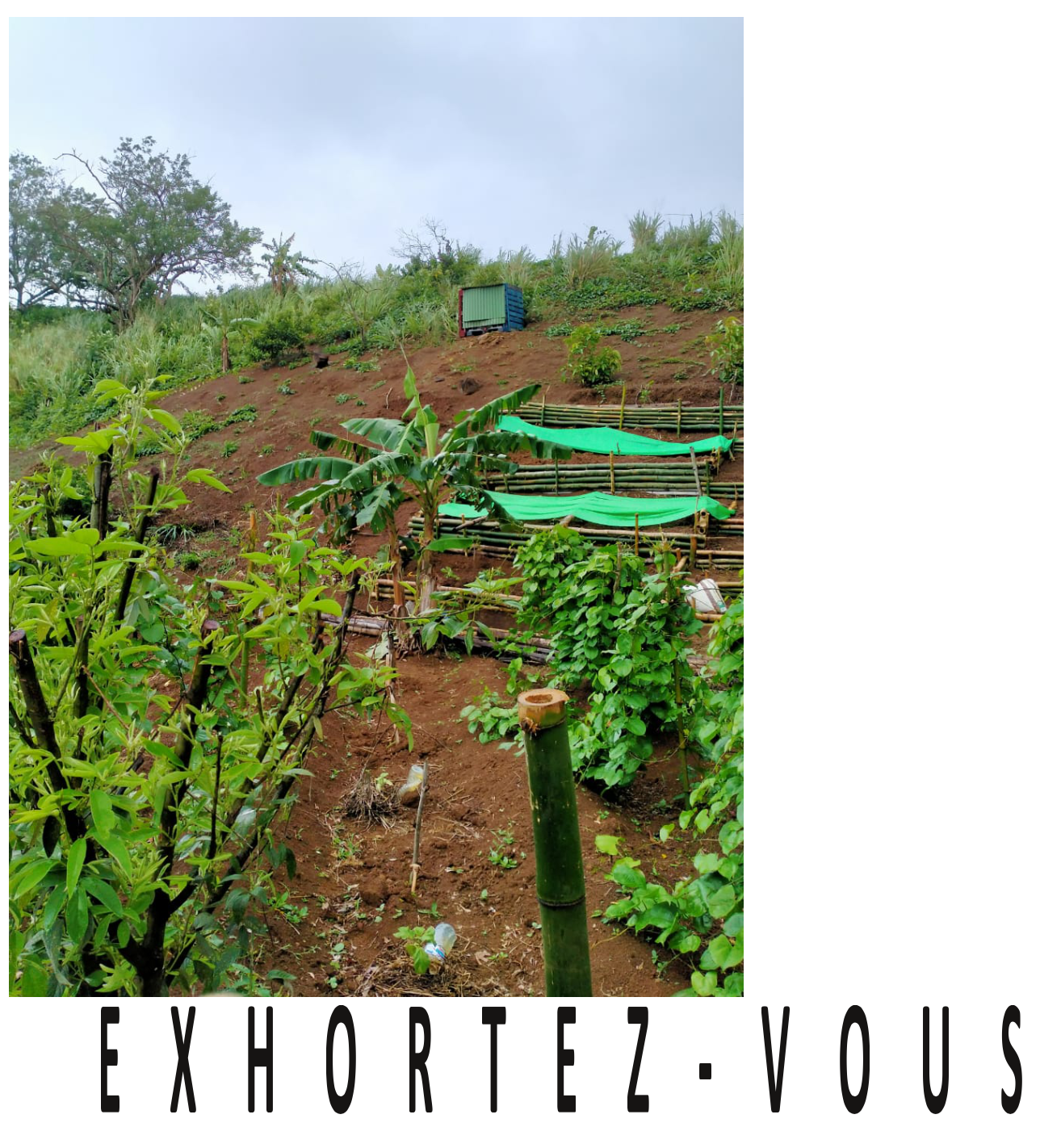 Couverture Exhortez Vous