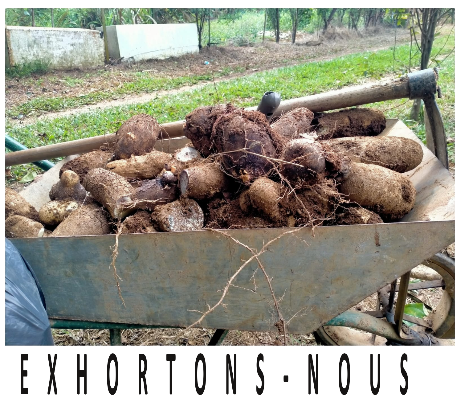 Couverture Exhortons Nous