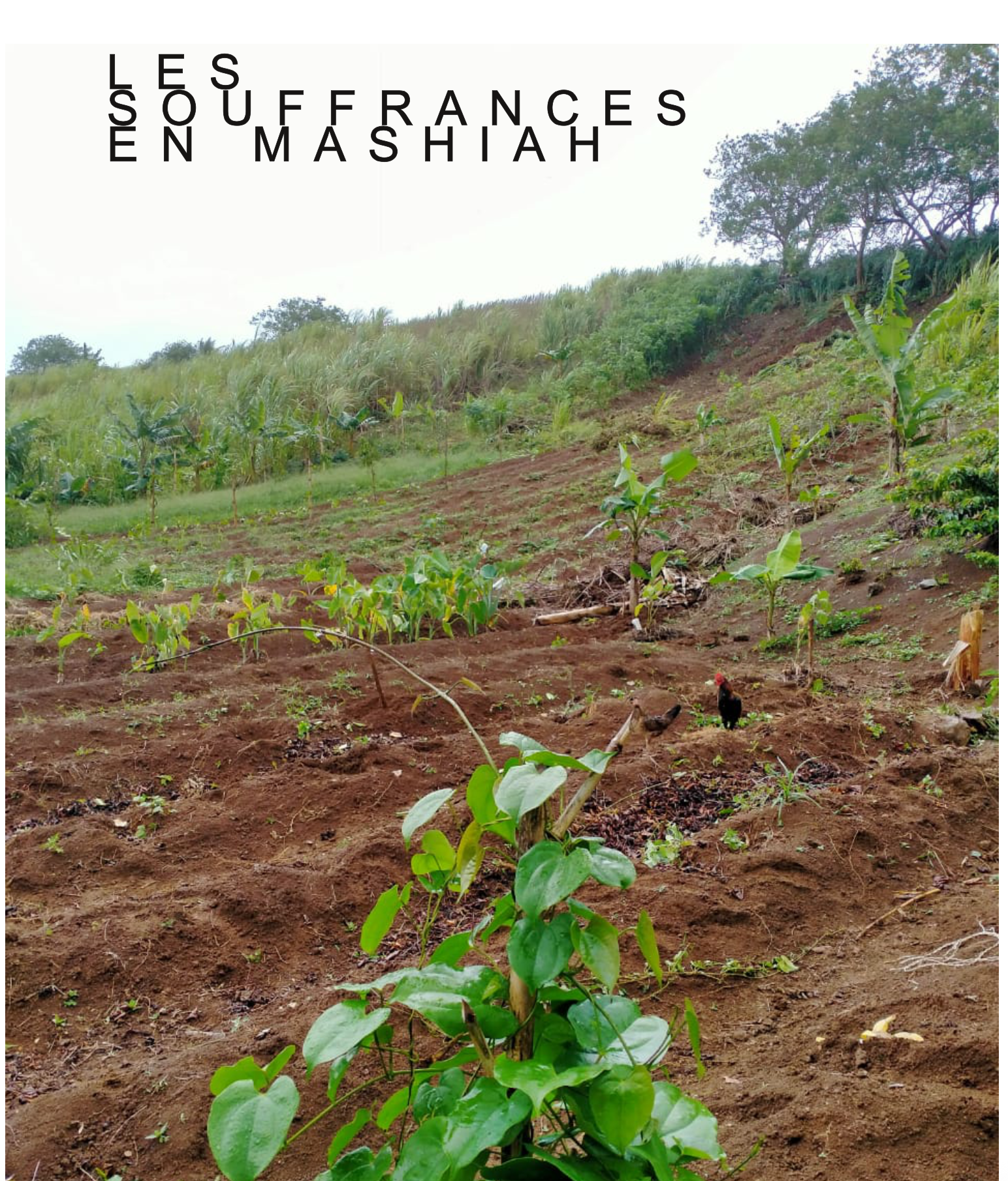 Couverture Les Souffrances en Mashiah